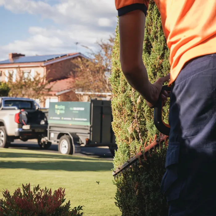 Weeding and mulching a garden bed as part of a gardening service in Camden NSW
