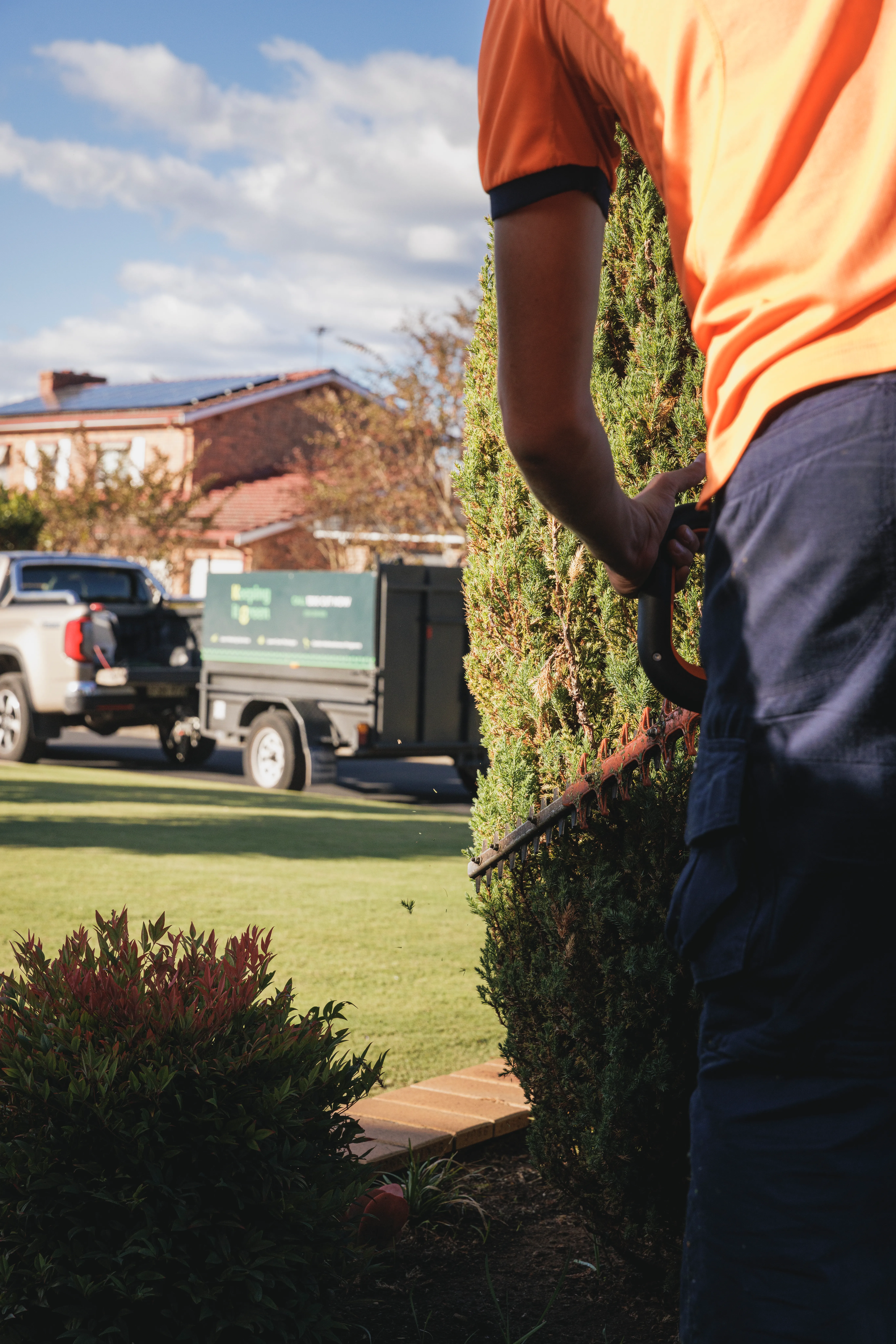 Commercial garden bed and hedge maintenance on a Sydney grounds maintenance contract
