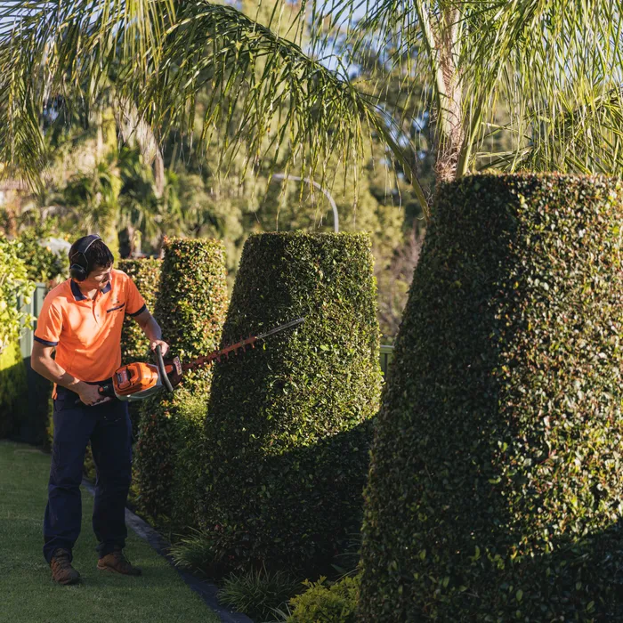 Local gardener planting a garden bed in Camden NSW