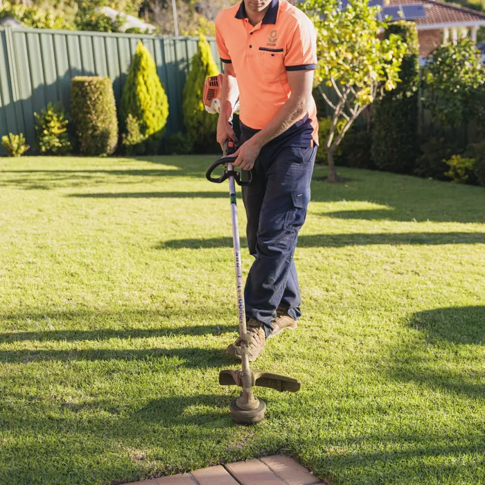 Whipper snipper flat-plane trimming a lawn border in Camden NSW