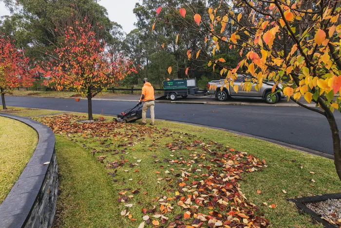 Lawn mower being pushed by a Keeping It Green team member in Camden NSW
