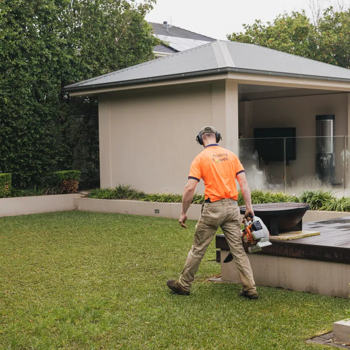 Clearing autumn leaf litter from a garden bed in Camden NSW