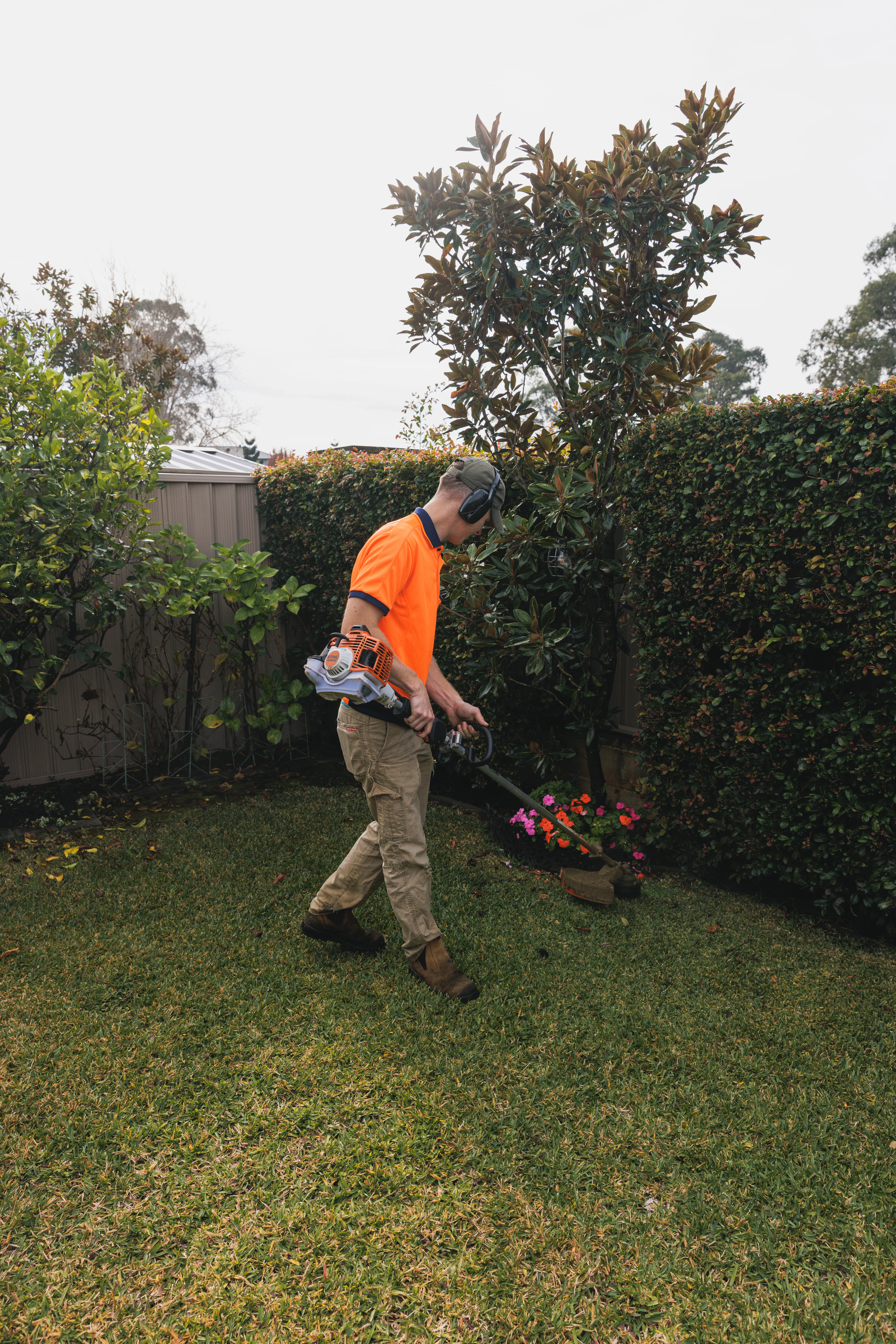 Whipper snipping carefully around a tree base in Camden