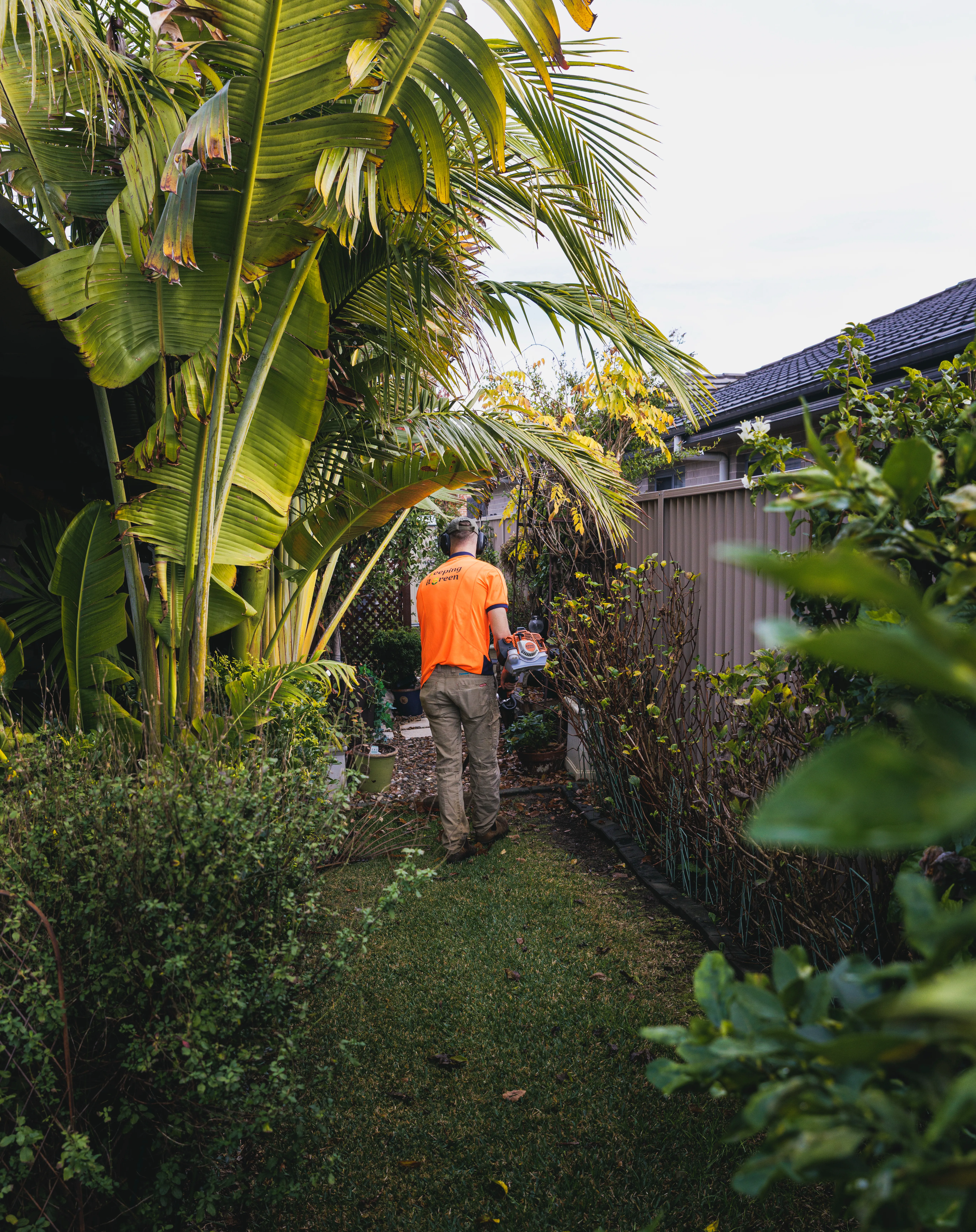 Keeping It Green team member whipper snipping along a narrow garden path beside a house