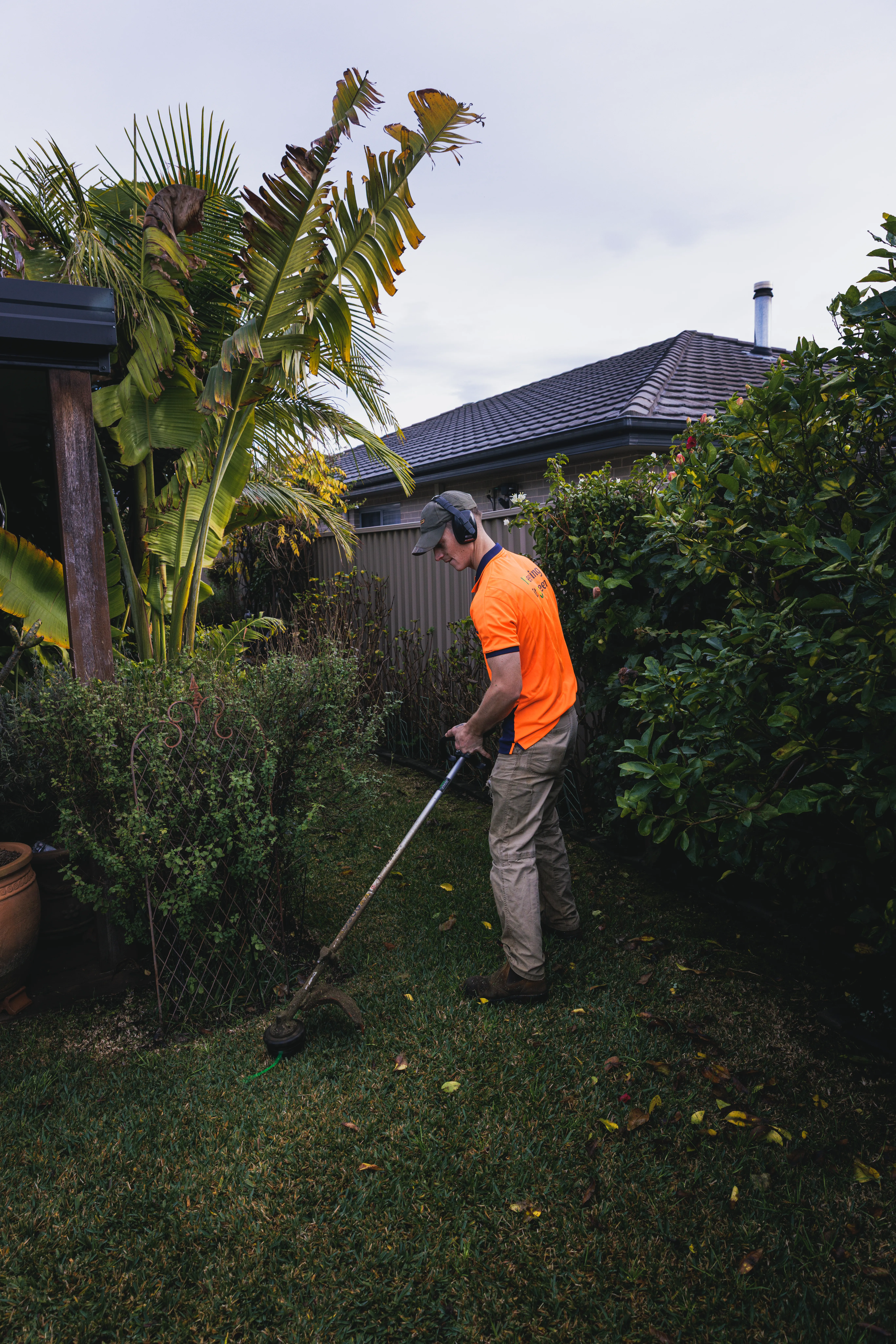 Whipper snipping a lawn