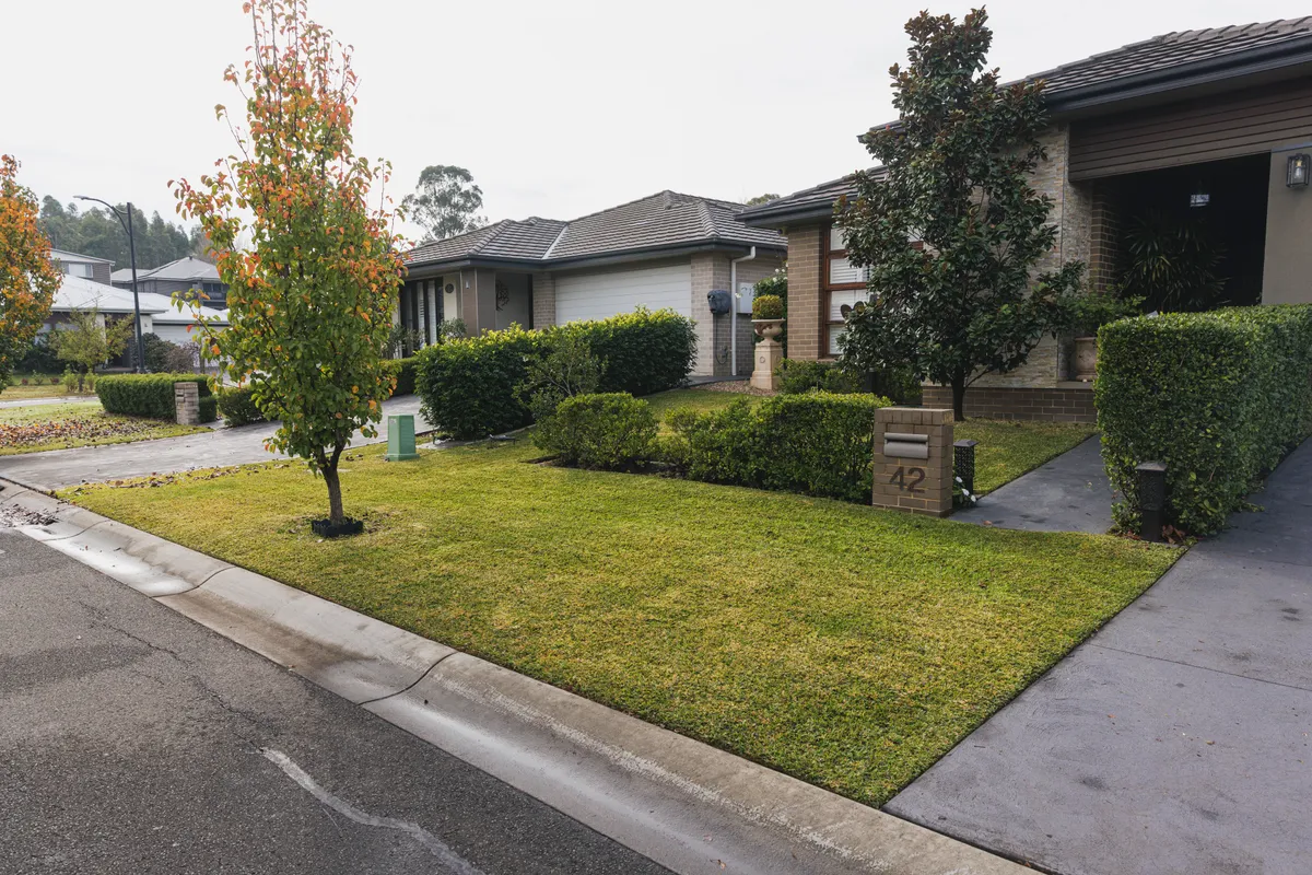 Whipper snipping an overgrown lawn area in Camden NSW