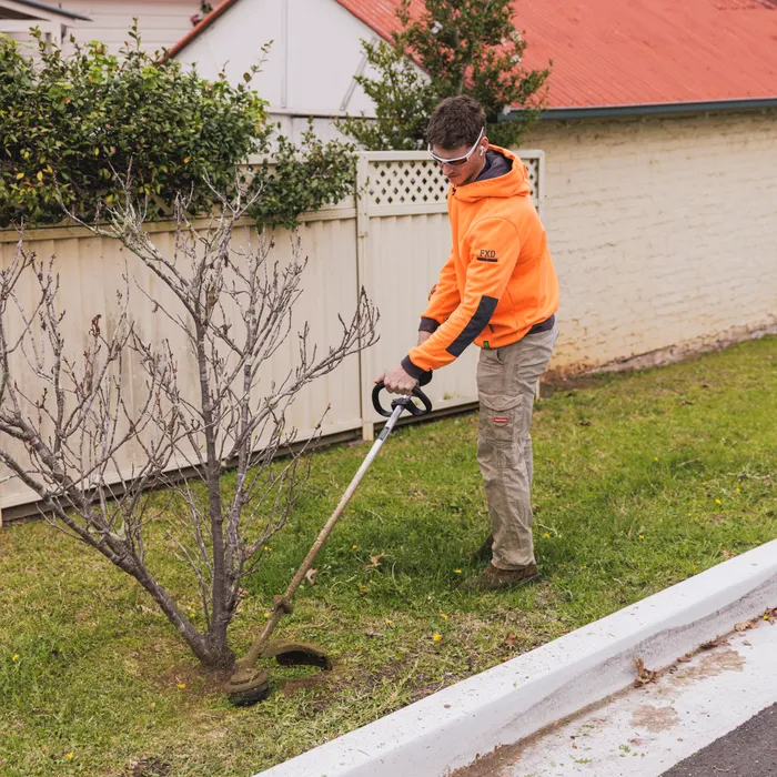 Whipper snipping carefully around a tree base in Camden NSW
