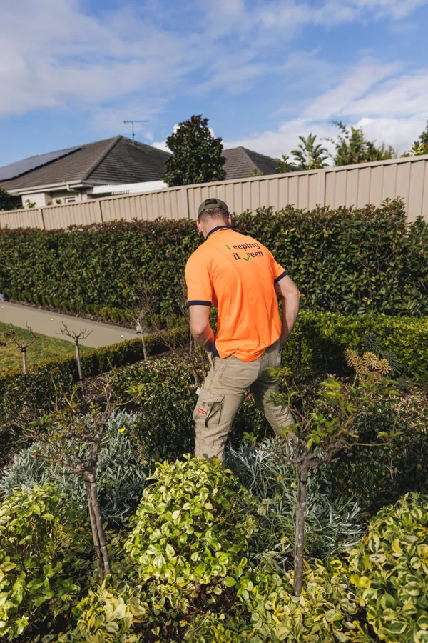 Photo of garden management work being done in Camden NSW