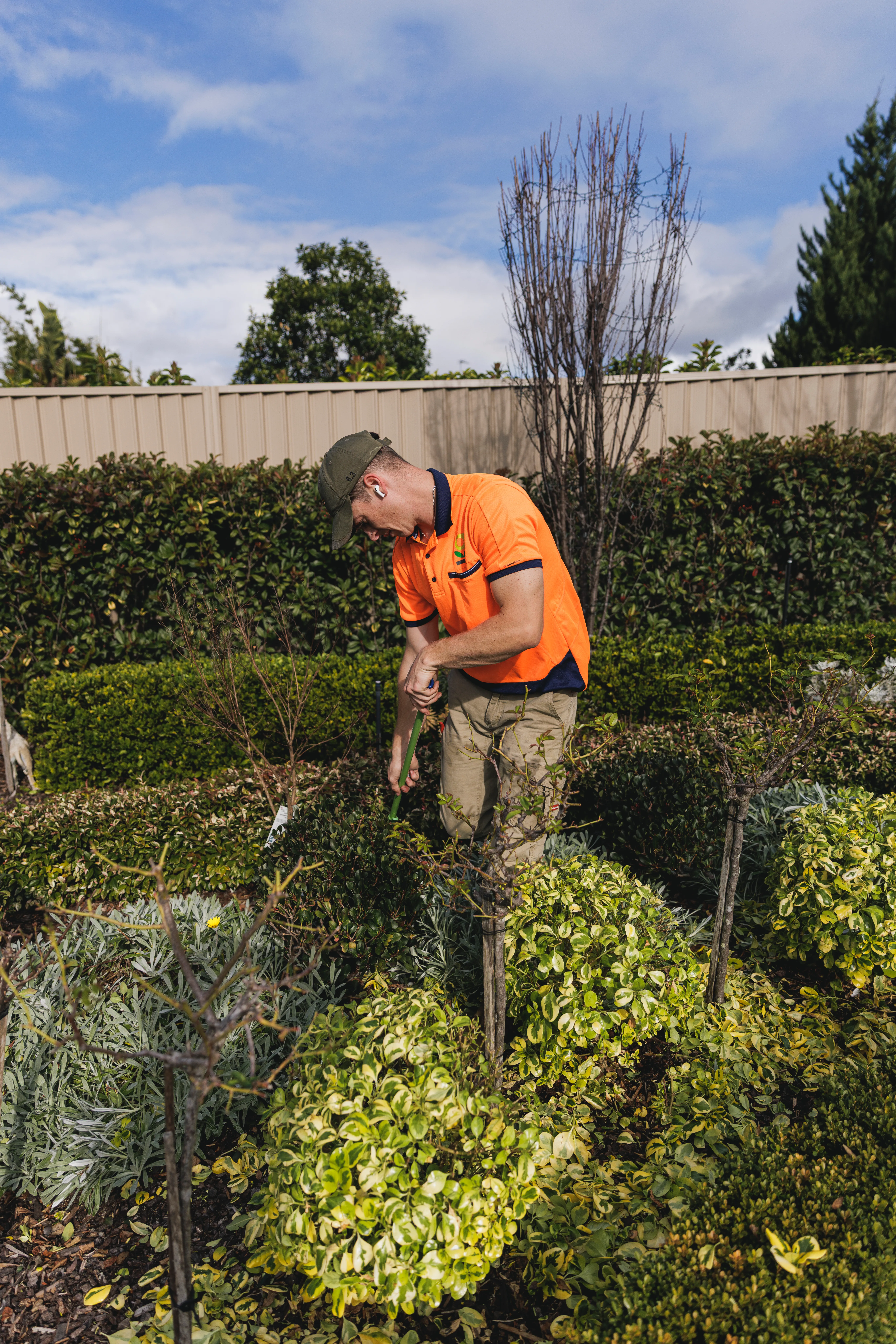 Weeding and mulching a garden bed in Camden