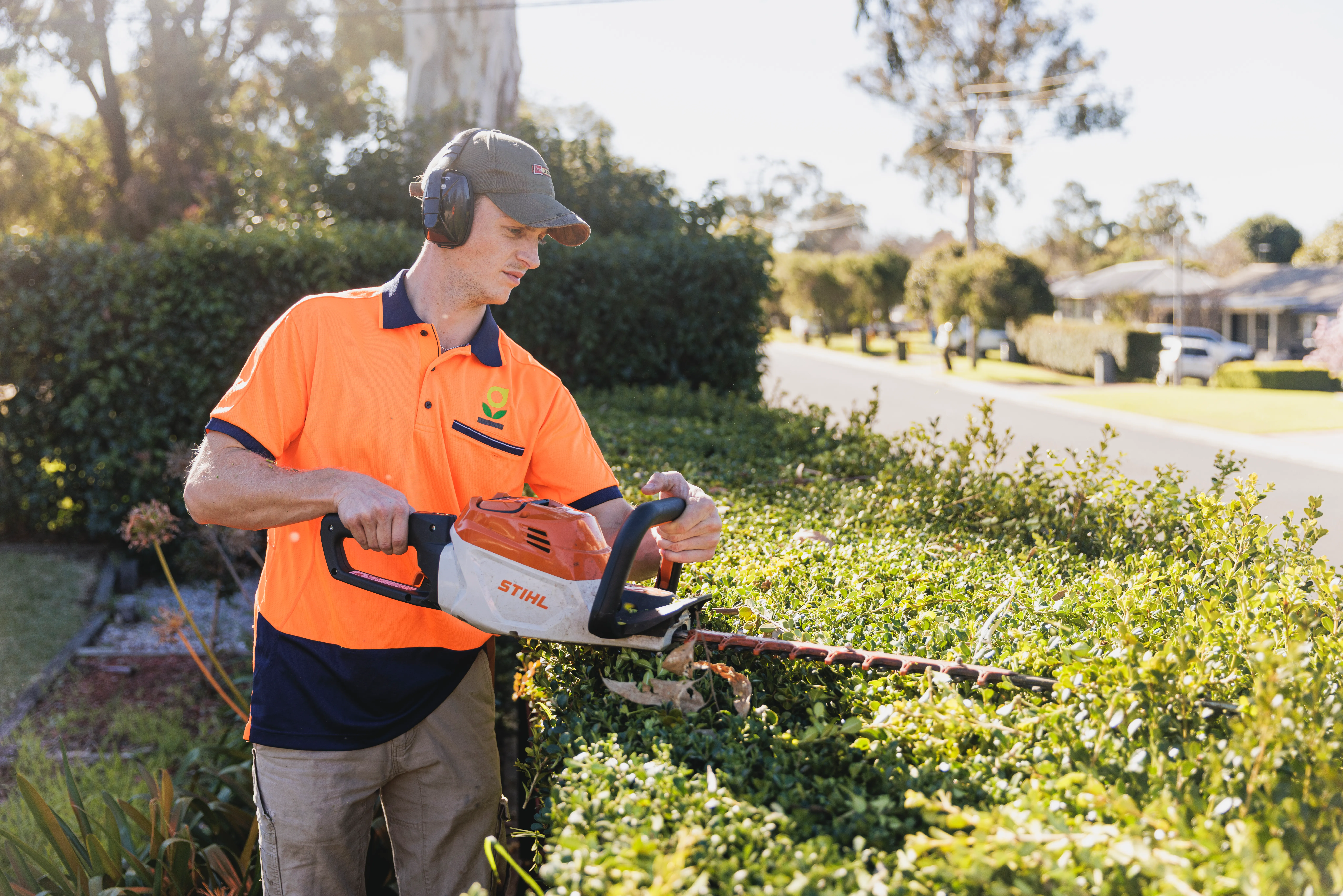 Trimmed garden hedges and maintenance work in Narellan