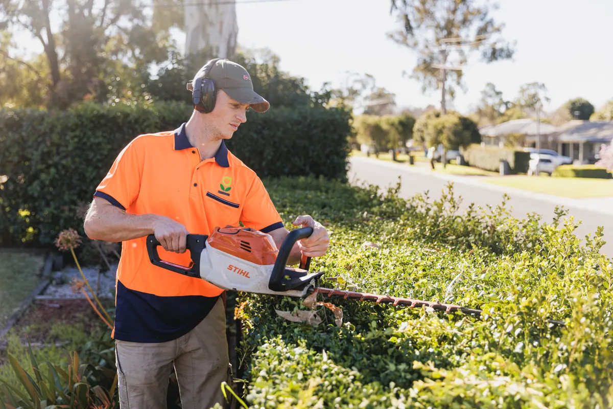 Local gardener carrying out a garden project in Camden NSW