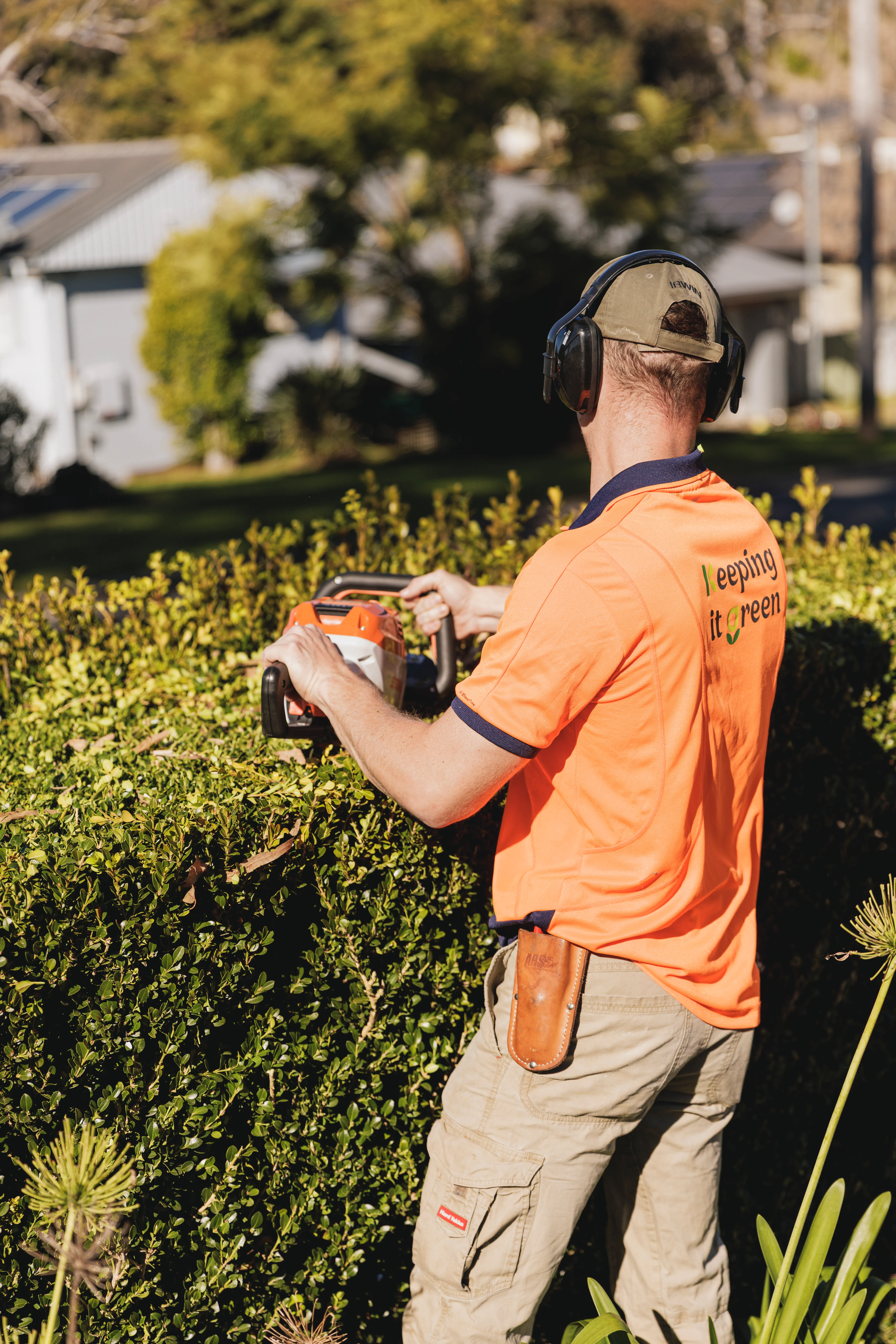 Pruning a garden shrub as part of a gardening service in Camden