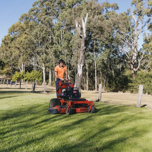 Ride on mower cutting lawns